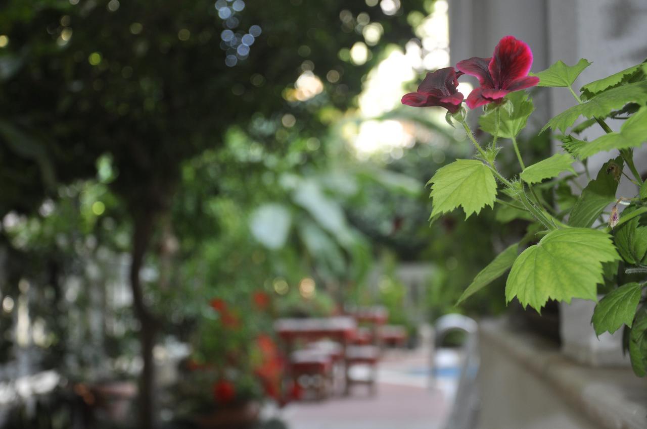 Hotel Villa Casablanca Bahtili Exterior photo